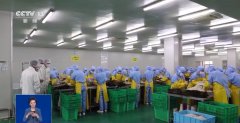 <b>正在部门食物中没有加喷鼻的需要</b>