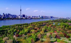  紧盯劳务调派、税